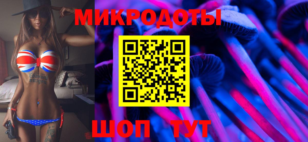 купить наркоту  Псилоцибиновые грибы Magic Shrooms  Татарск  Вход с VPN  Псилоцибиновые грибы GOLDEN TEACHER 